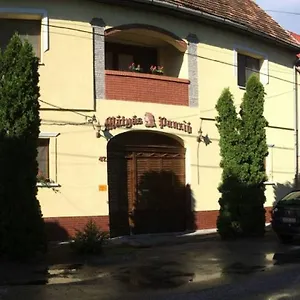 matyas-panzio.szeged-hotels.com/