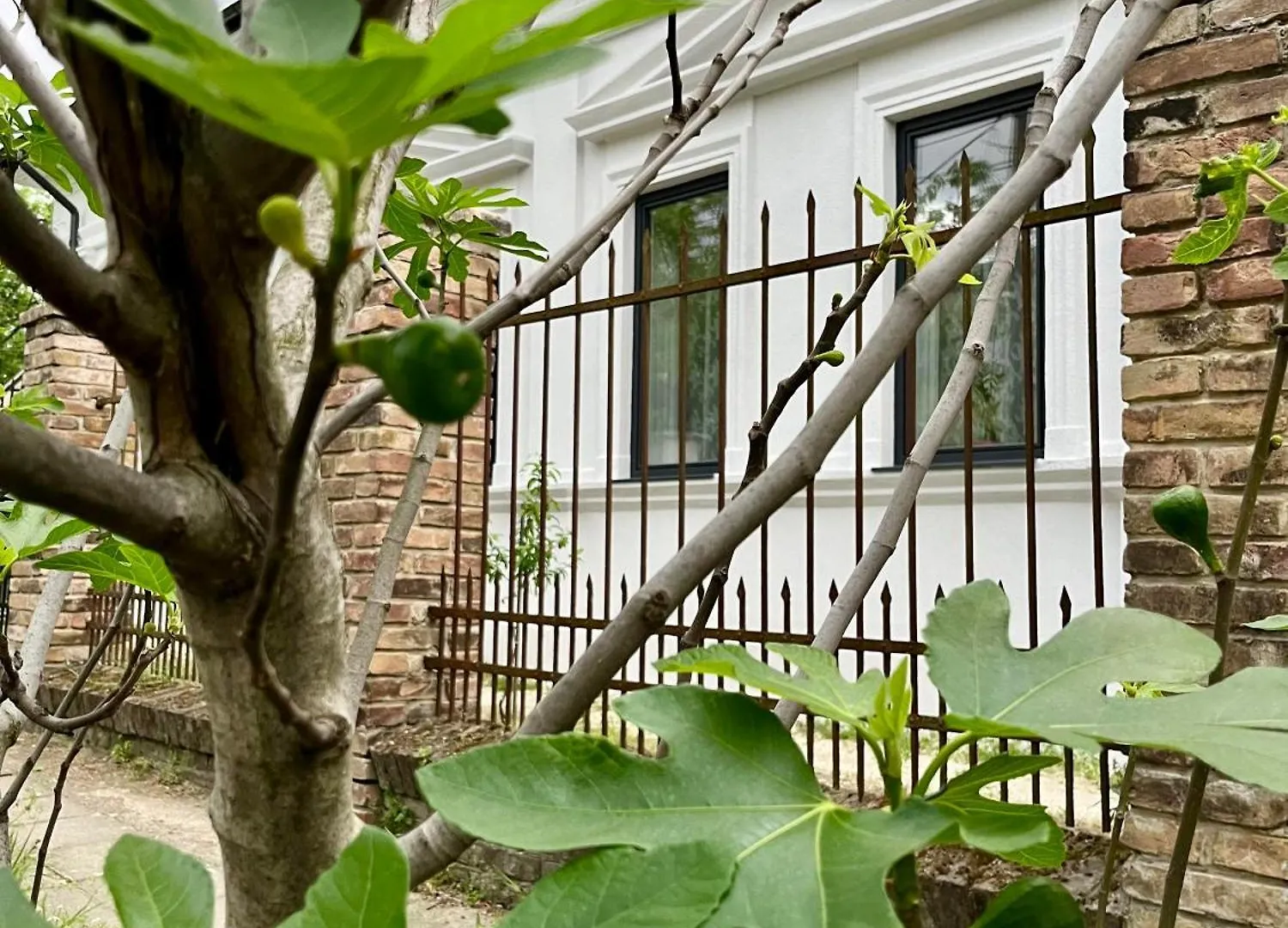 Wagner Villa 902 With Free Private Parking 부다페스트